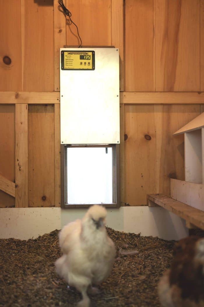 automatic chicken coop door opener